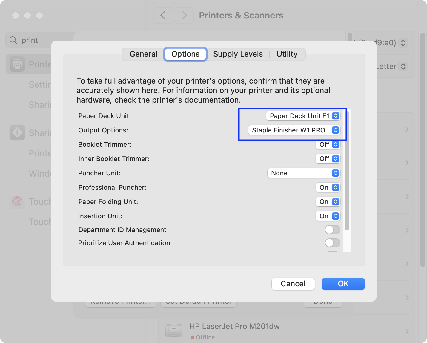 Printer Options Screenshot